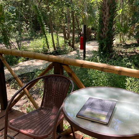 Selva Teenek Eco-Park Ciudad Valles Bagian luar foto