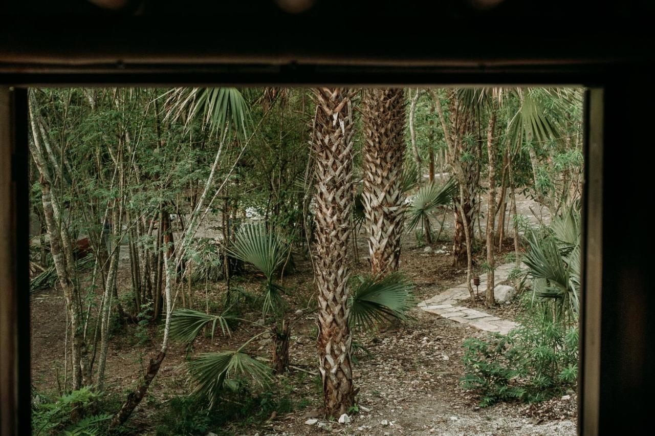 Selva Teenek Eco-Park Ciudad Valles Bagian luar foto
