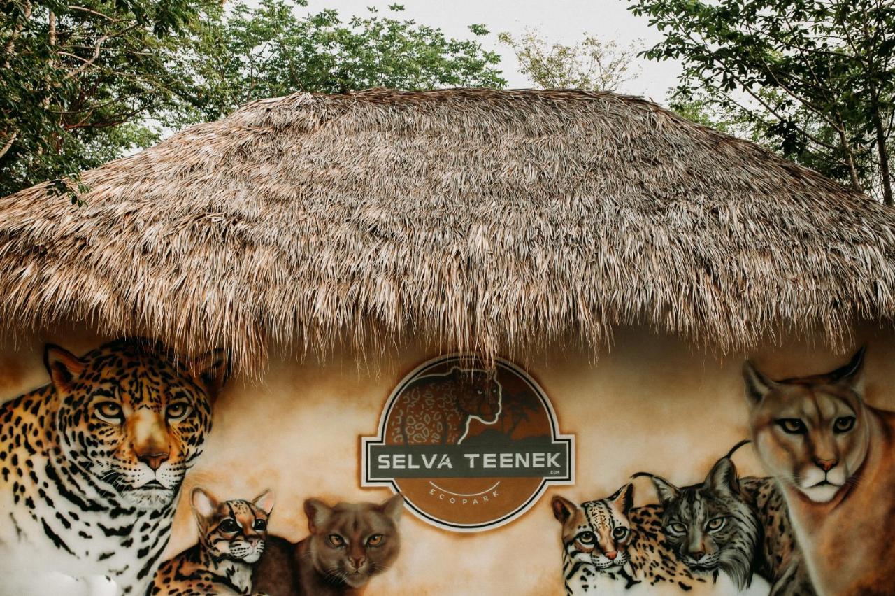 Selva Teenek Eco-Park Ciudad Valles Bagian luar foto